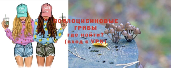 прущая мука Арсеньев