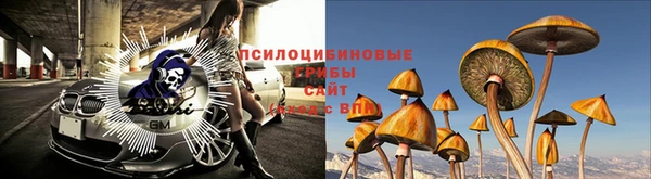 спайс Армянск