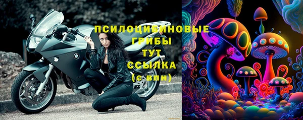 гидра Аркадак