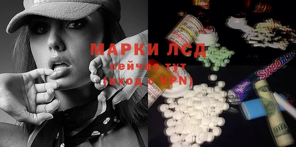 гидра Аркадак