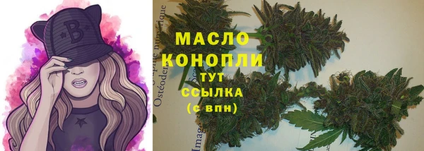 гидра Аркадак