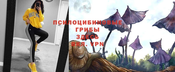 прущая мука Балахна
